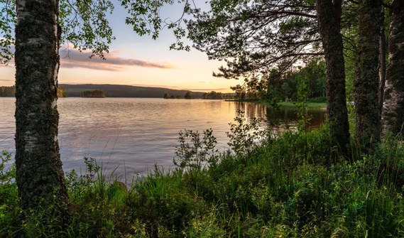 ТОП-10 живописных маршрутов для путешествия на кемпере в Беларуси
